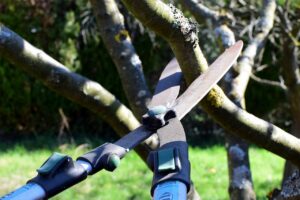 Nożyce do cięcia gałęzi na wysokości – czym kierować się przy ich wyborze?